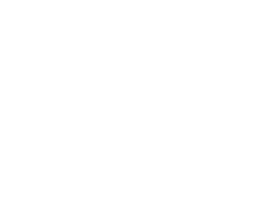 Robin's Lane Inc